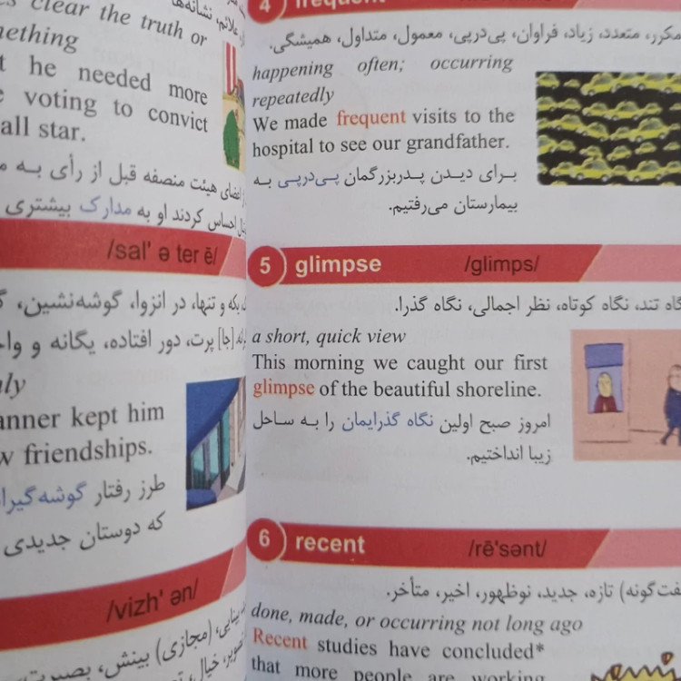 کتاب 504 واژه کاملا ضروری اثر ماری بارمبراگ انتشارات علم و دانش