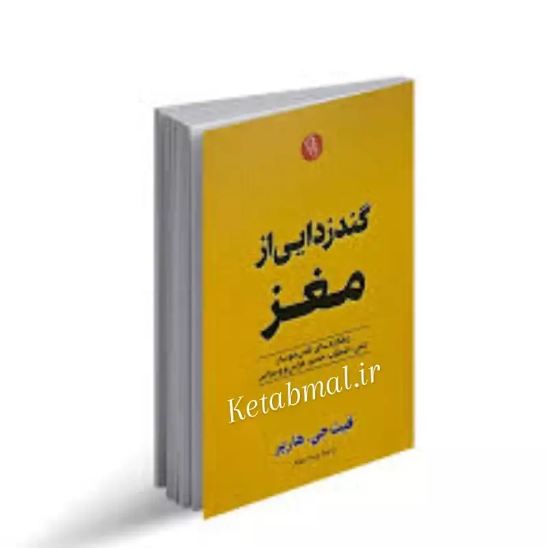 کتاب گند زدایی از مغز اثر فیث جی هارپر انتشارات آزرمیدخت