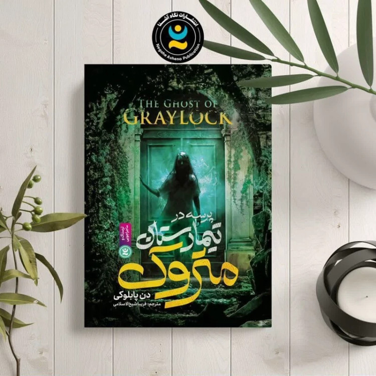کتاب پرسه در تیمارستان متروک اثر دن پابلوکی انتشارات نگاه آشنا