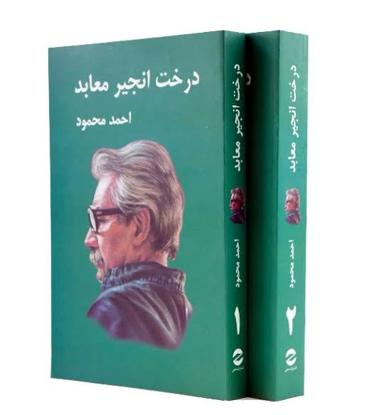 کتاب درخت انجیر معابد اثر احمد محمود انتشارات معین دو جلدی