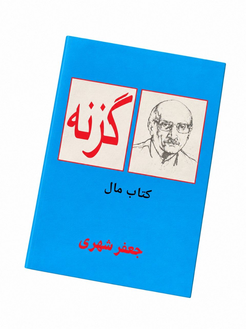 کتاب گزنه اثر جعفر شهری